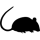 rat-silhouette icon of rat-silhouette